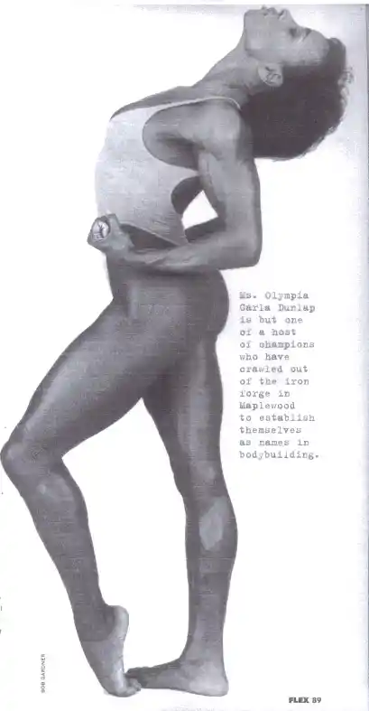 The Diamond Gym Story 007